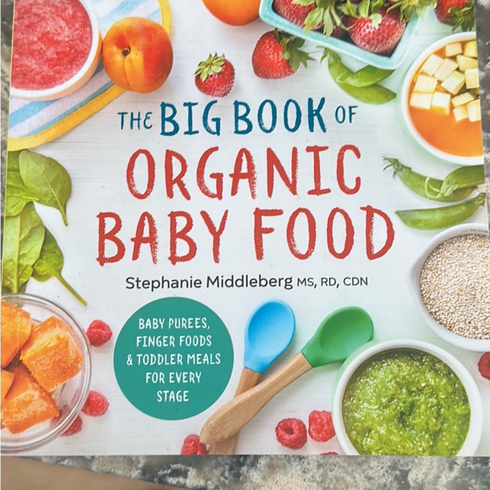 Big book of organic baby food